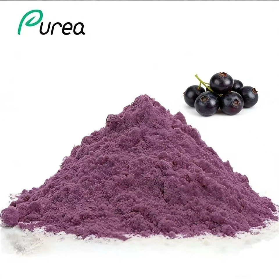 Økologisk Maqui Berry Powder med høy renhet