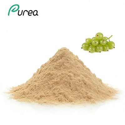 Stikkelsbærekstraktpulver