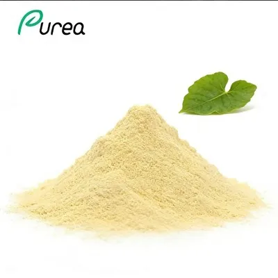 Kava Kava Root Extract Pulver