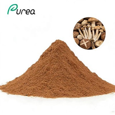 Økologisk soppekstraktblandingspulver