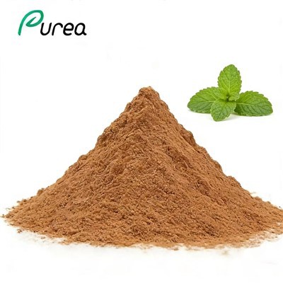 Ren peppermynteekstraktpulver