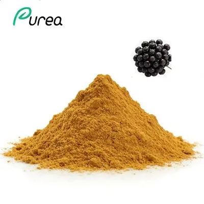 Sibirsk ginseng ekstrakt pulver